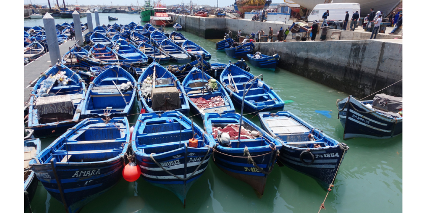 Schneider Electric’s Go Green Competition – A World-Wide Opportunity to Ignite Change 