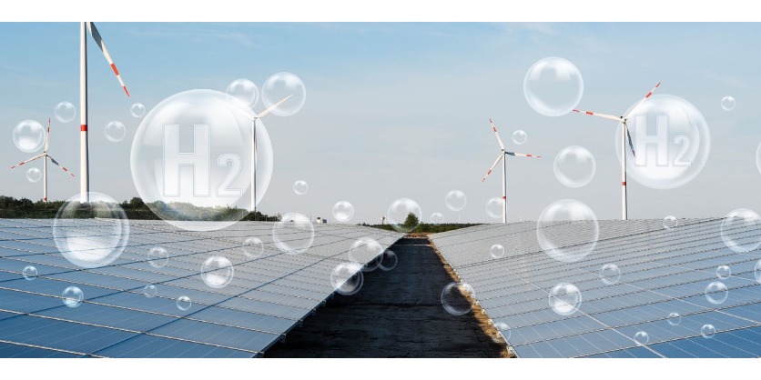 Expect the Best​ - Choose a Weidmüller Distribution PRO